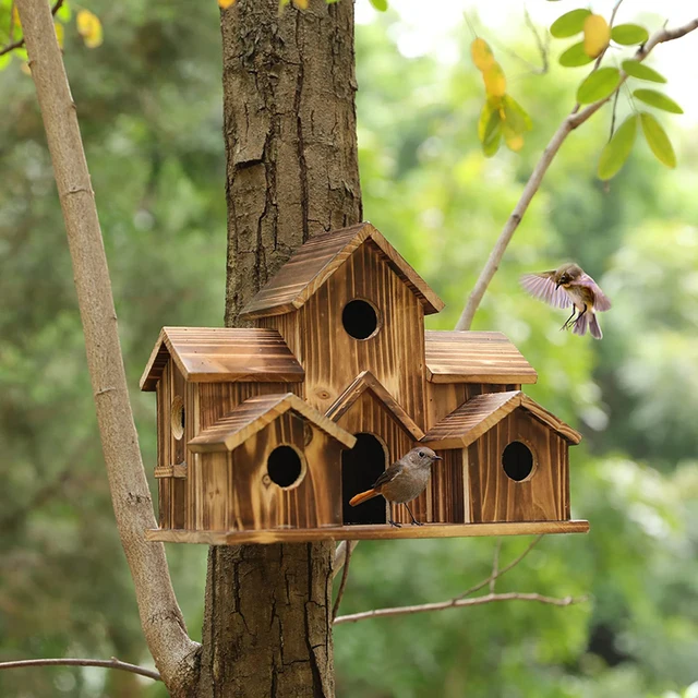 Petite maison d'oiseau en bois avec ULde face, décoration de jardinage,  accent d'oiseau créatif, types de bricolage muraux - AliExpress