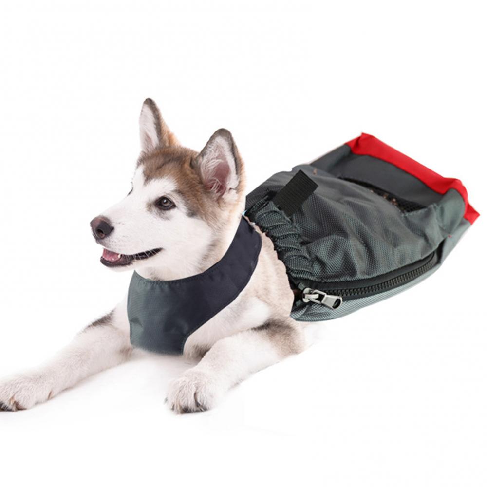 Title 5, Animal de compagnie petit chien glisser sac han...