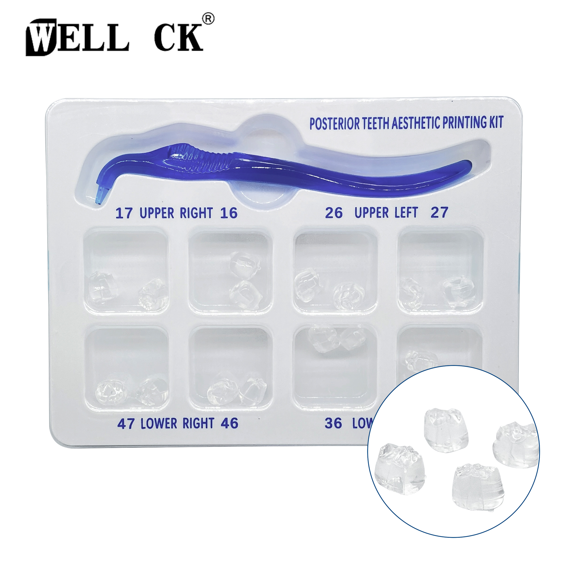 Best of WellCK Dental Orthodontic Posterior Teeth Aesthetic Printing Kit Printing Restoration Teeth Quick Built Dentistry Tools Material Reviews & Tips