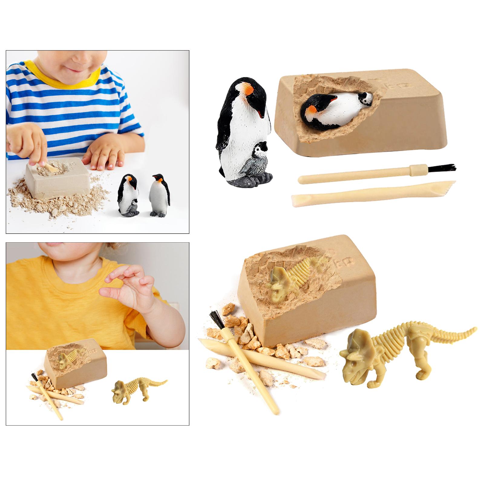 Funny Excavation Toys, Preschool Learning Toy Mining Toy Nature Science Archeology Kit Nature Activities