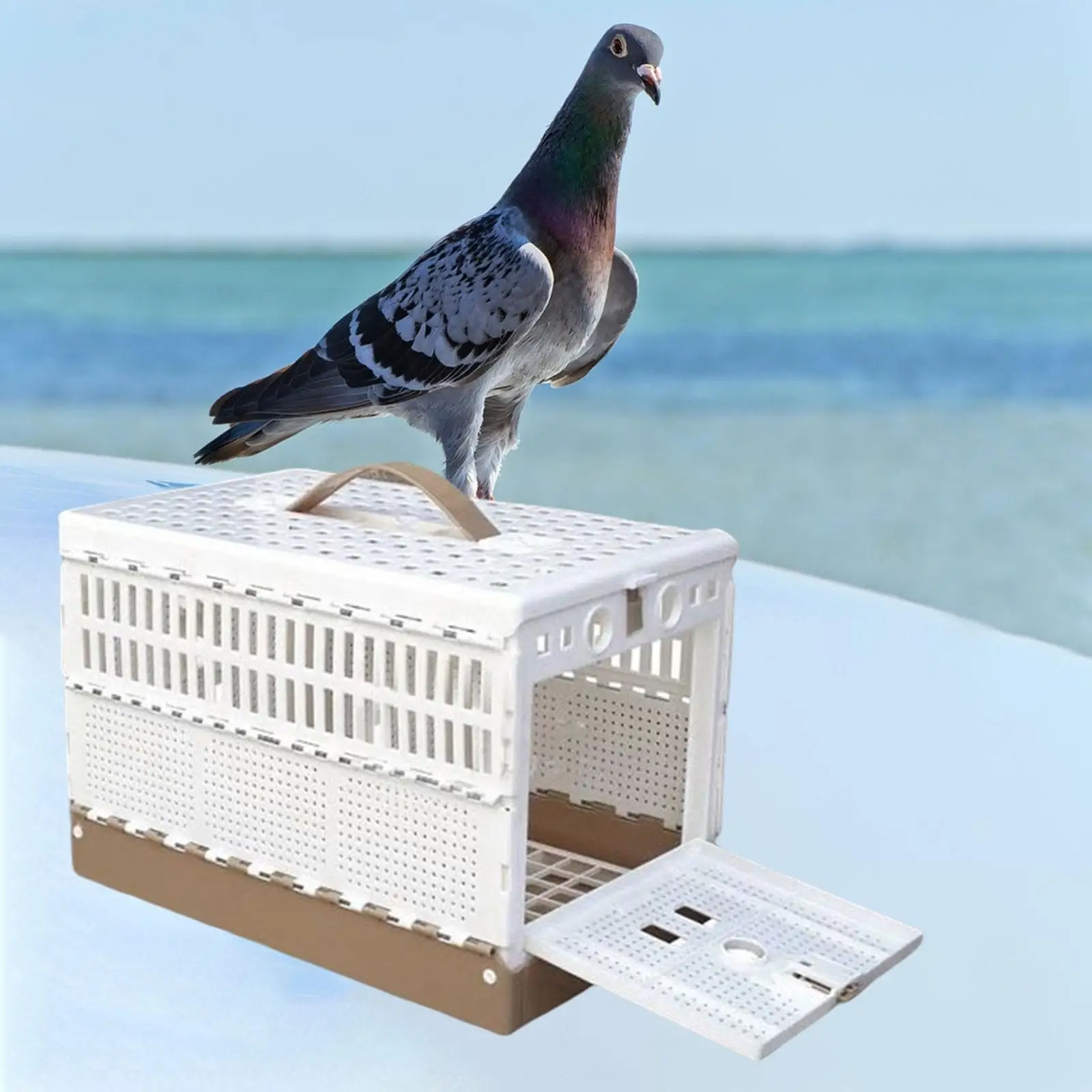 Pigeon Cage Poultry Bird Cage Parakeet Cage Fodable Pet Bird Flight Small Animal Box Pigeon Training Cage for Transport Carrier