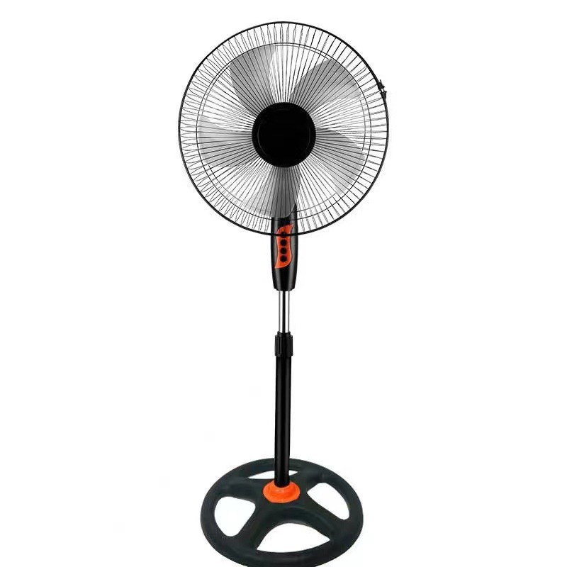 Fan Image 6