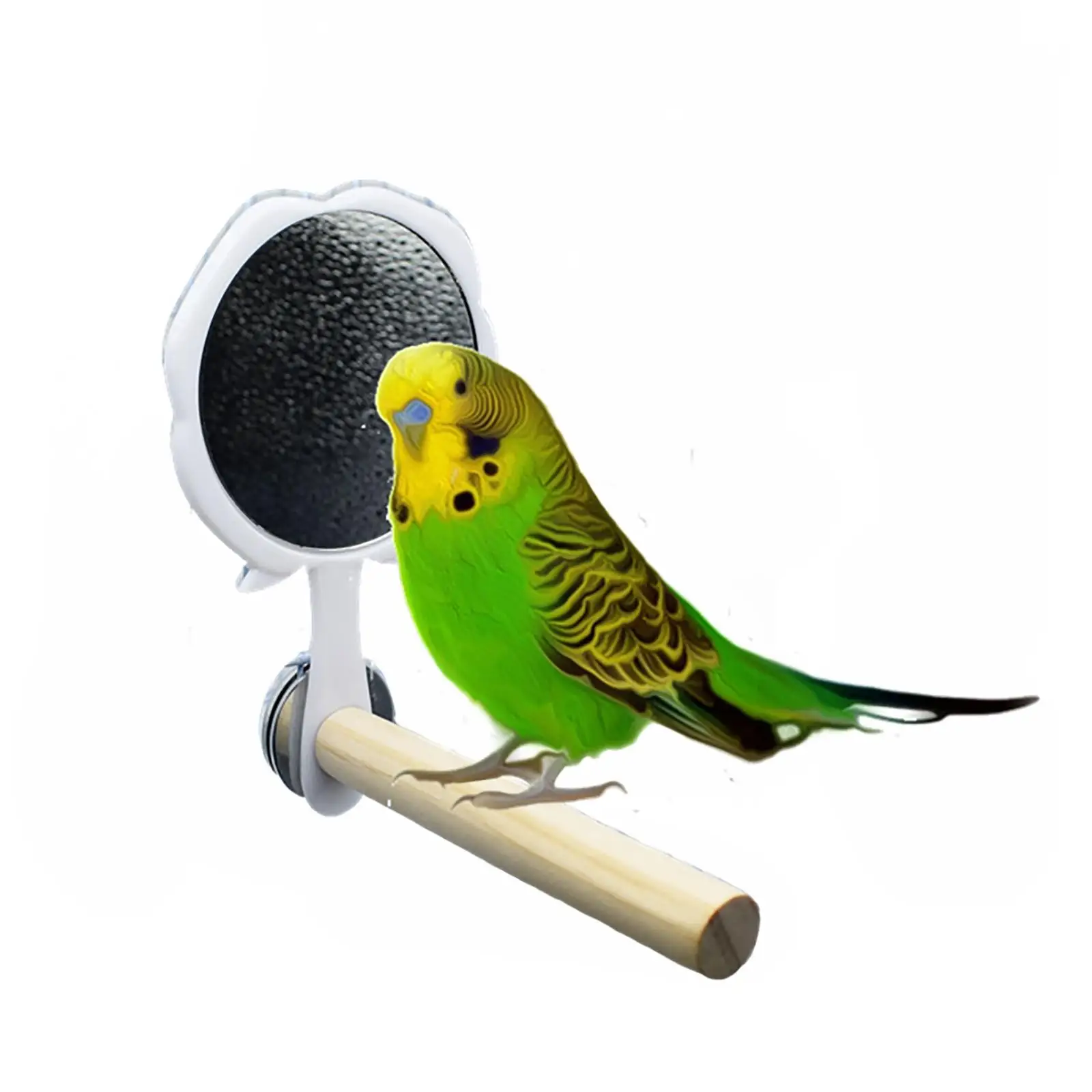 Bird Perch with Mirror Wooden Stick Toys Chewing Toy Hanging for  Lorikeet Canaries Cockatoo Budgie 
