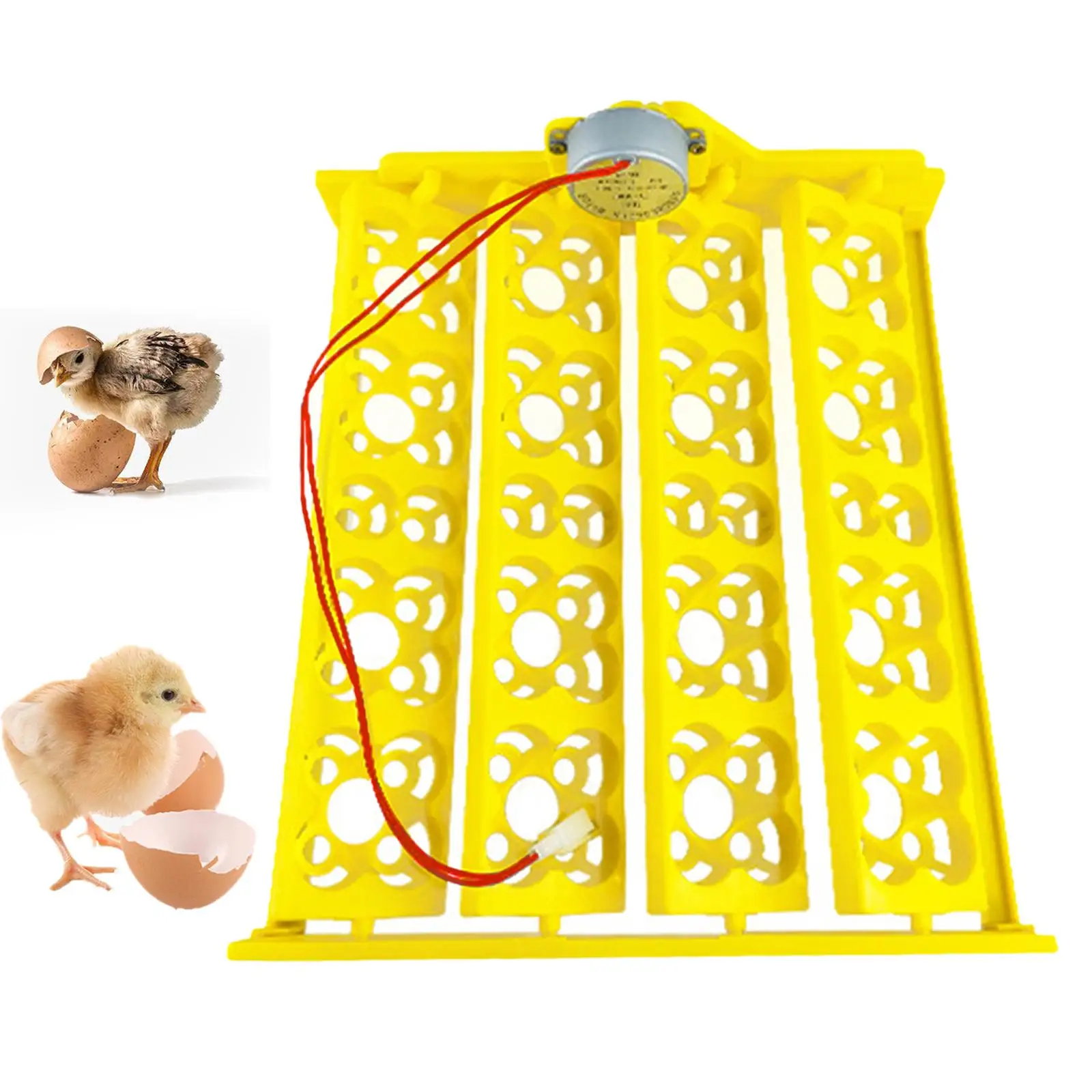 Automatic Egg Incubator Tray Automatic Egg Turner Turning Tray Egg Hatcher Accessories Poultry Automatic Turning Motor for Duck