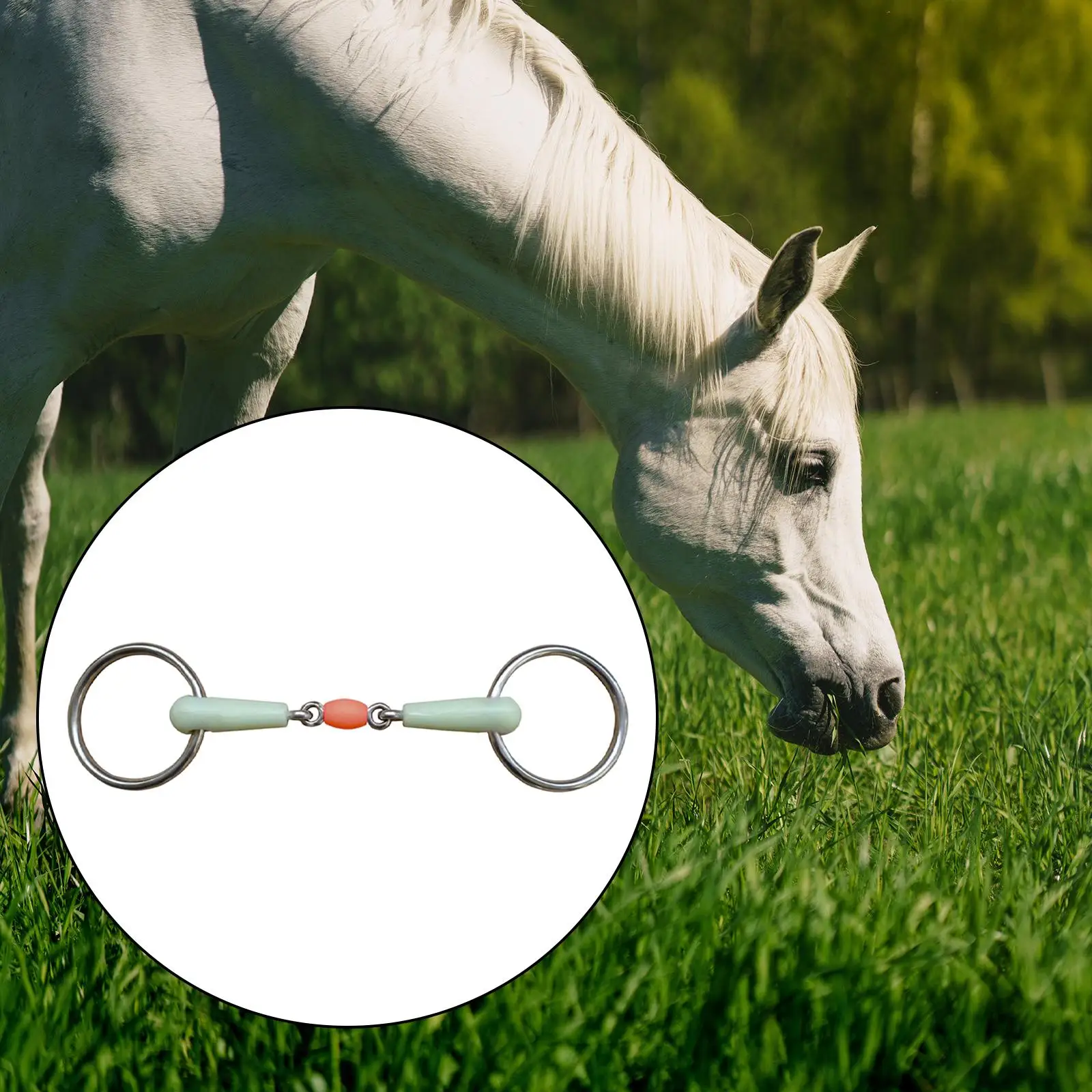 Horse Mouth Bit Harness Flavor Jointed Mouth Stainless Steel Round for Training Cheek Horse Chewing Horse Bridle