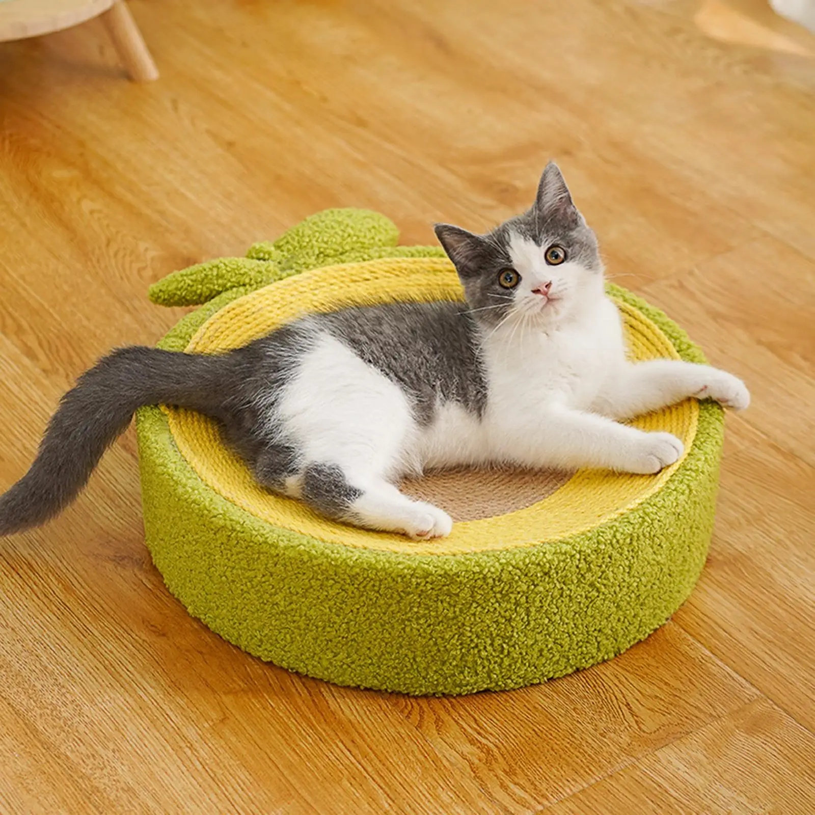 Cat Scratcher for Indoor Cats Nonslip Kitty Training Toy Scratch Pad Scratching Lounge Bed Sleeping Nest Furniture Protection