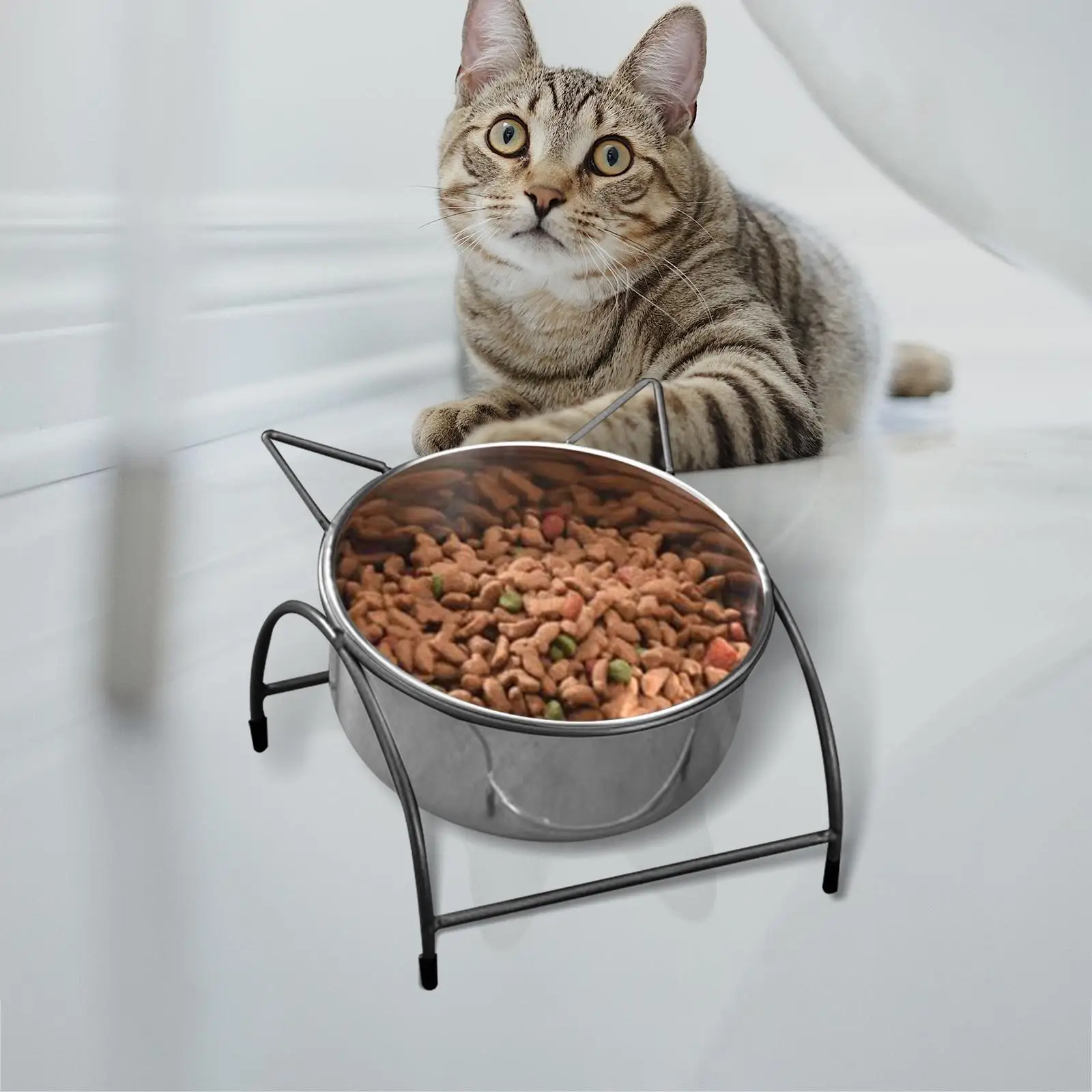 Elevated Cat Bowl Raised Cat Food Bowl Stainless Steel Drinking Raised Dog Bowl Food Container Cat Dish Feeder for Indoor Cats