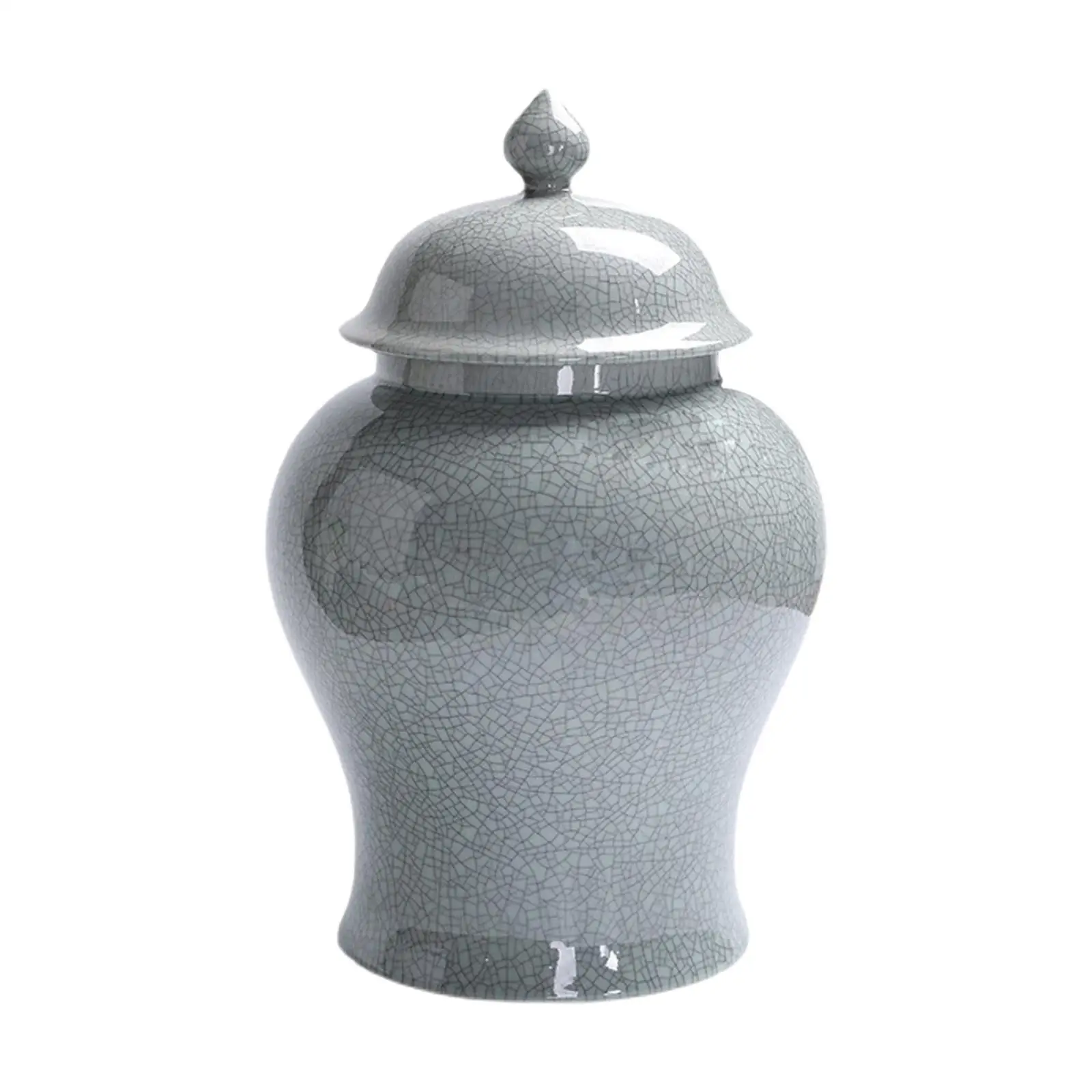 Ceramic Flower Vase Storage Bottle Collectible Porcelain Ginger Jar for Art Decor