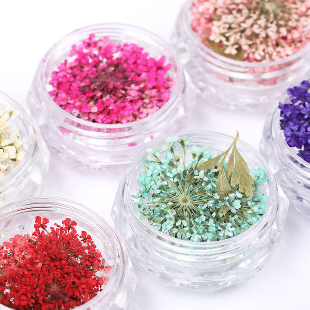 10Pcs/Box 3D Dried Flowers Nail Art Decorations Real Dried Flower