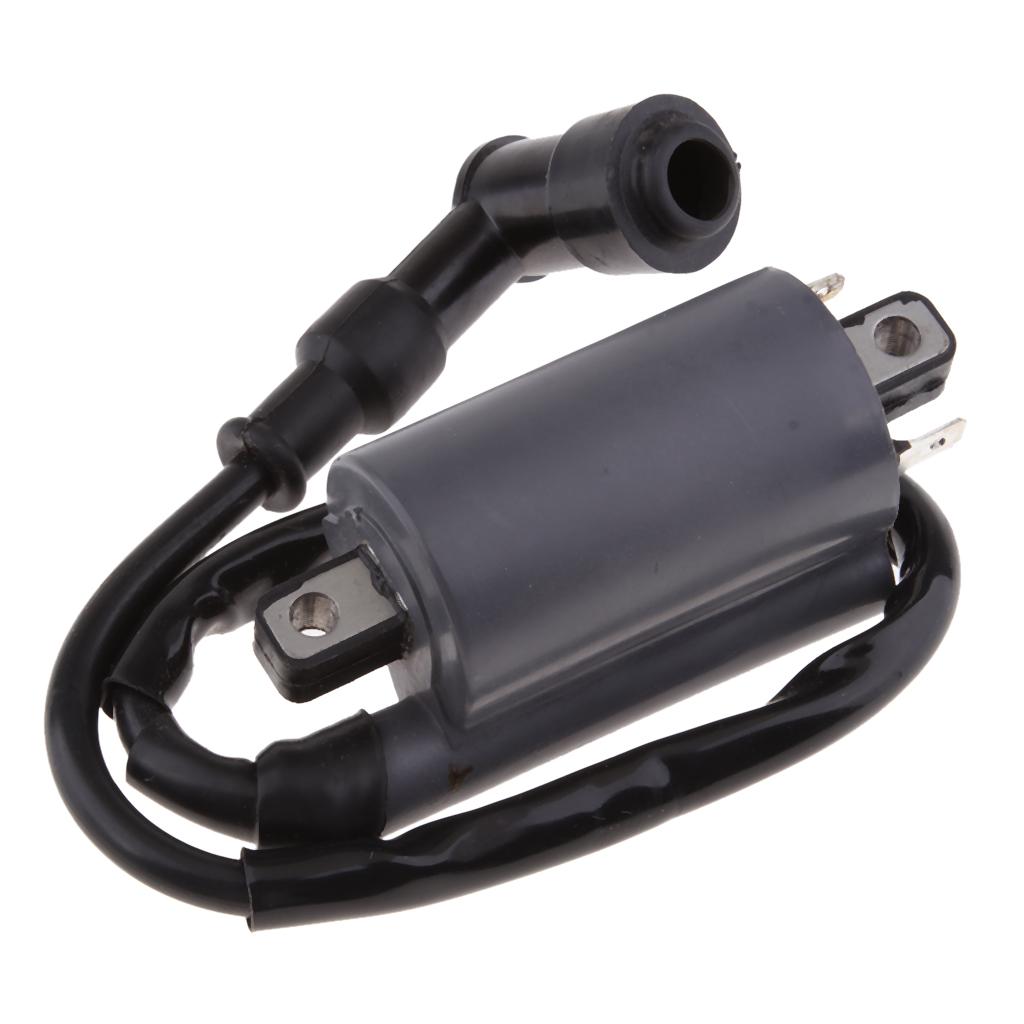 Replacement Ignition Coil For Buyang 300CC    Engine  Bike  Moped Mini Bikes