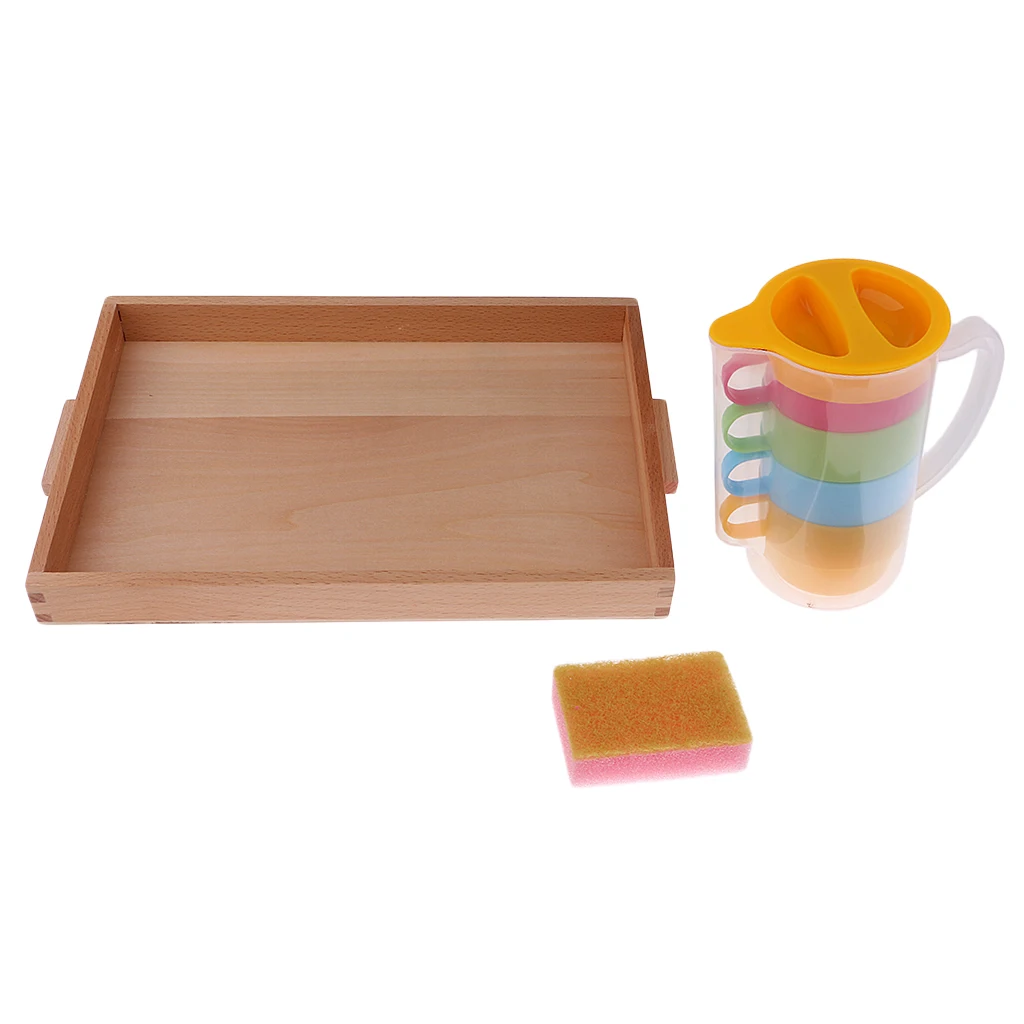Montessori Basic Pouring Cups+Sponge+Tray Toy Gift for Children