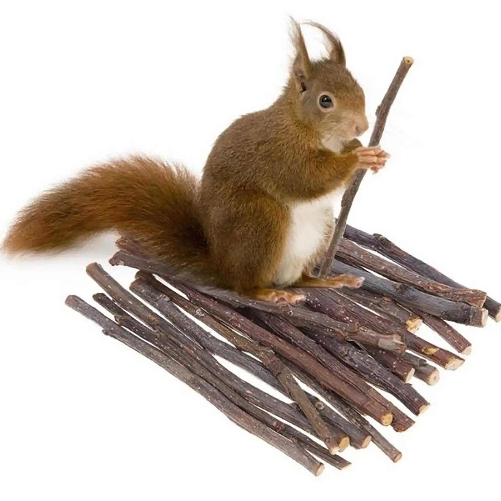 1000G Hamster Chew Sticks Molar Brancheing Twigs Accessories Wood Rat Groundhog Squirrels