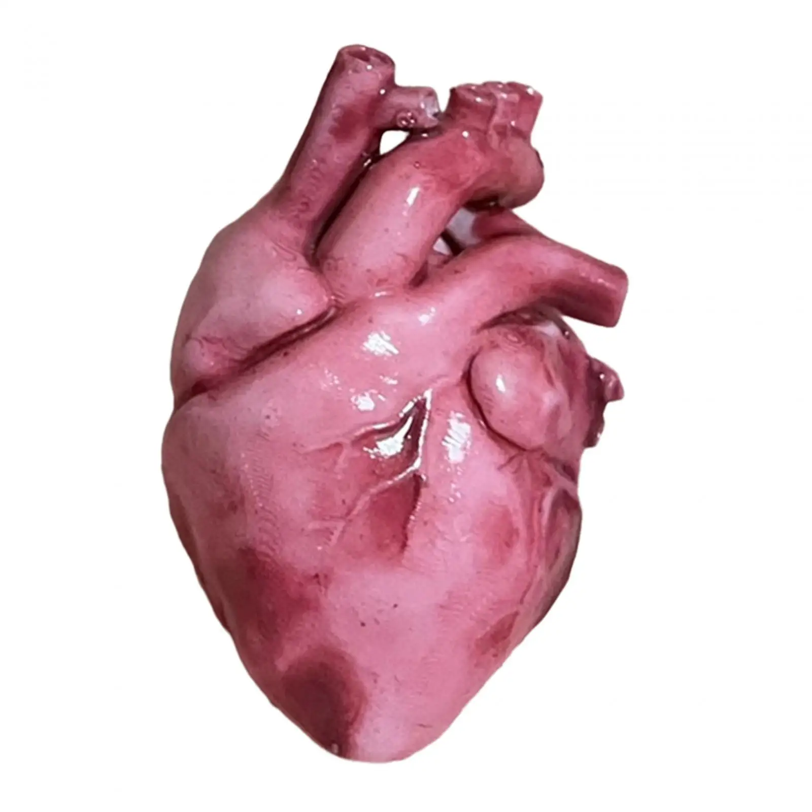1/18 Scale Resin Heart Model Toy for Kids Adults Photography Prop Diorama