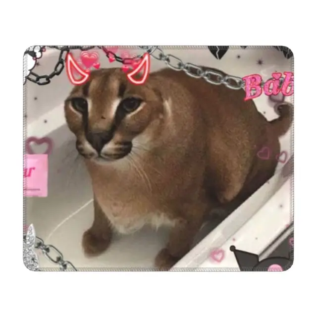 Engraçado caracal gato floppa meme porta da frente tapete de