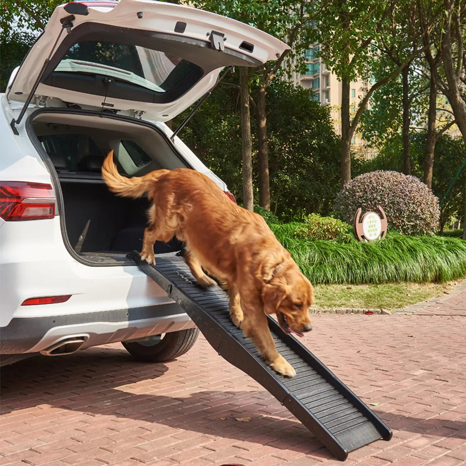 Dog Ramp Pet Cat Ladder Foldable Portable Lightweight for Bed SUV Trucks