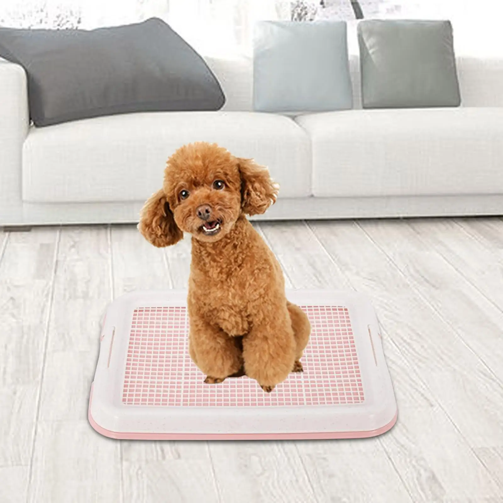 Dog Potty Toilet Training Tray Indoor Outdoor 18.5x13.8 inch with Secure Latch
