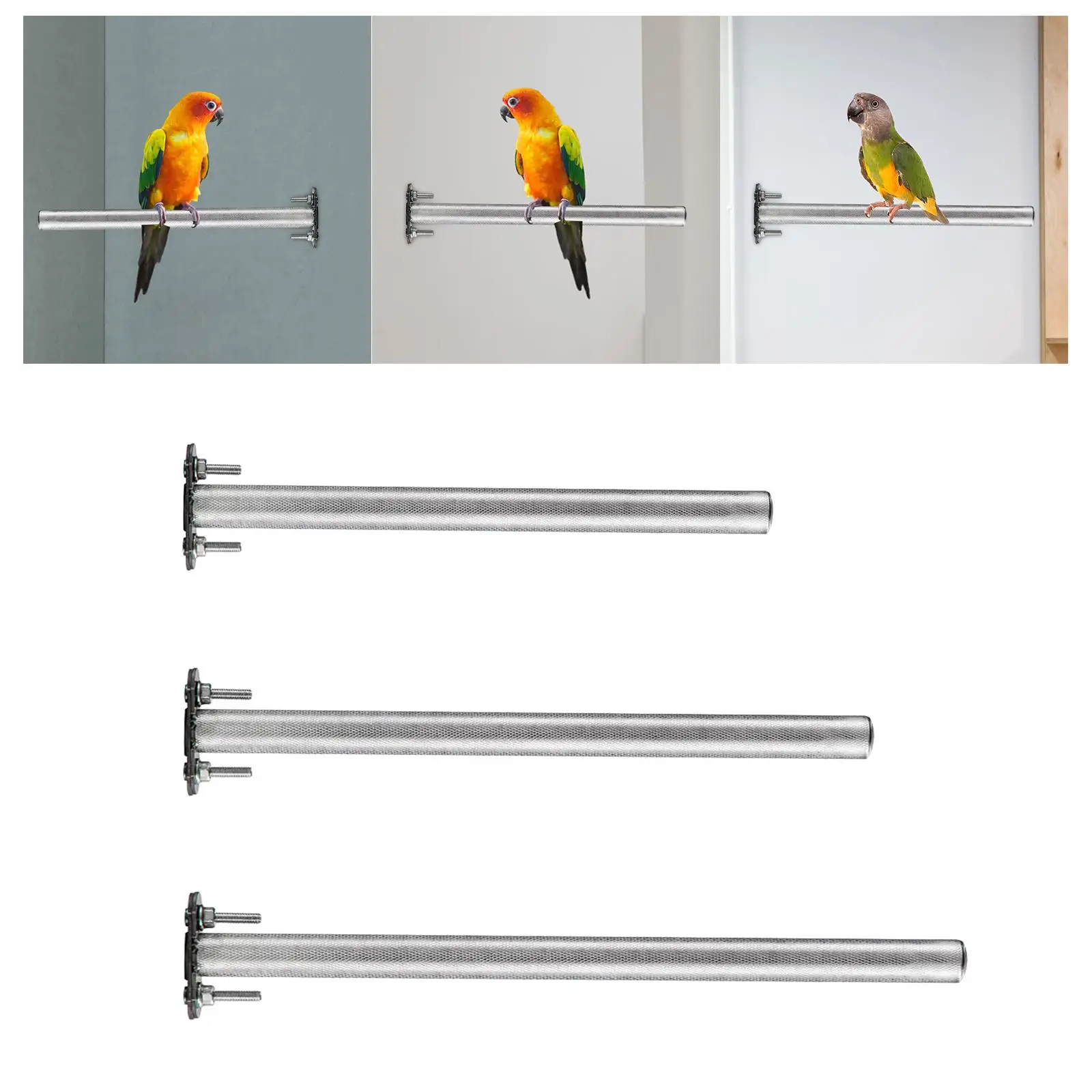 Bird Perch Stainless Steel Parrot Stand Bird Cage Perch for Budgies Parakeets Lovebirds Canaries