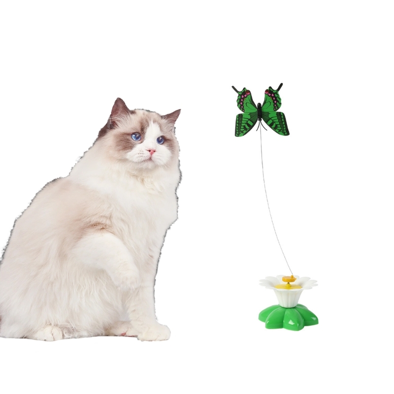 Electronic butterfly sale cat toy