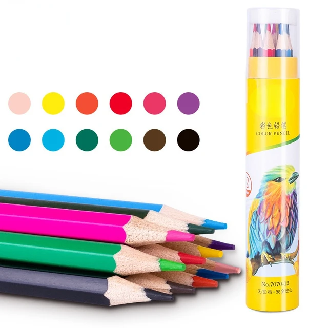 Color Pencil 12pcs - JIKUN Non-toxic Oil/ Water/ Metallic/ Neon Colored  Premium Drawing Pencils Set For
