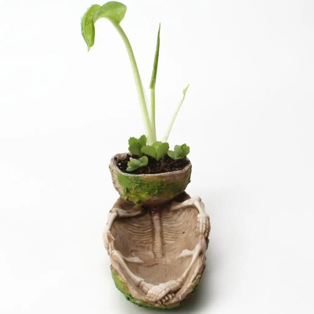 Skeleton Design Succulents Plant Pot Flowerpot Planter Pots 