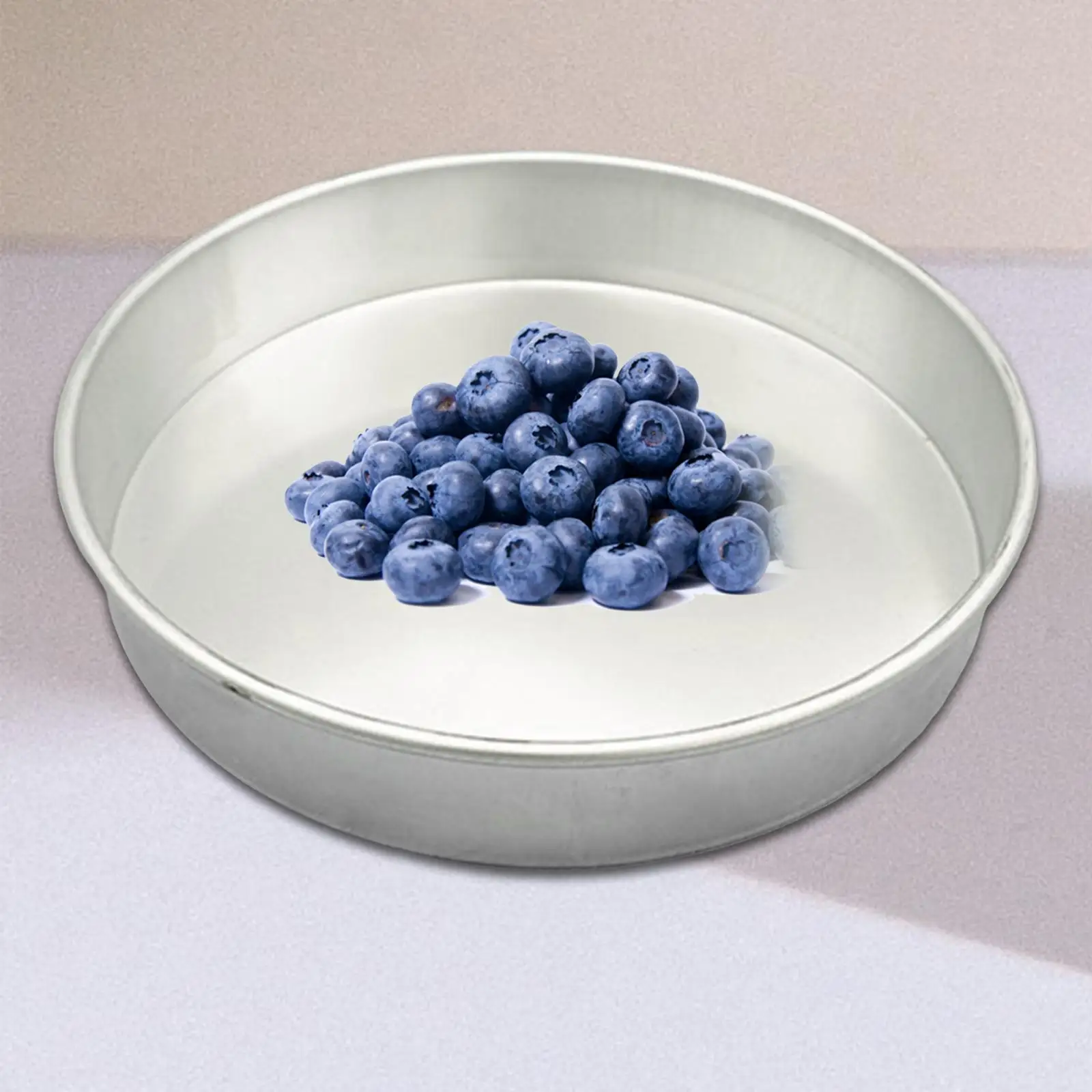 Garden Serving Tray Storage Portable Blueberry Storage Pan for Home Planting