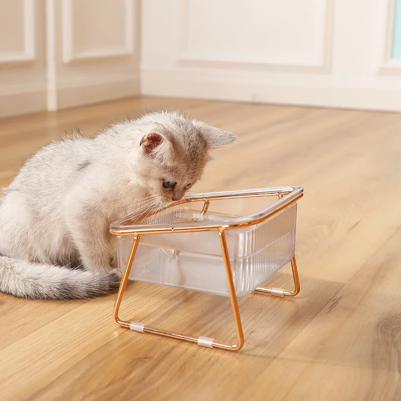 Un pequeño gatito sentado sobre un suelo de madera. El gatito parece estar mirando o interactuando con un recipiente de plástico transparente con un marco de color cobre. El recipiente tiene una tapa ligeramente entreabierta y el gatito parece tener curiosidad.