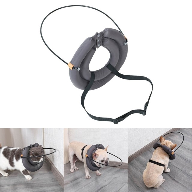 Head guard sales for blind dogs