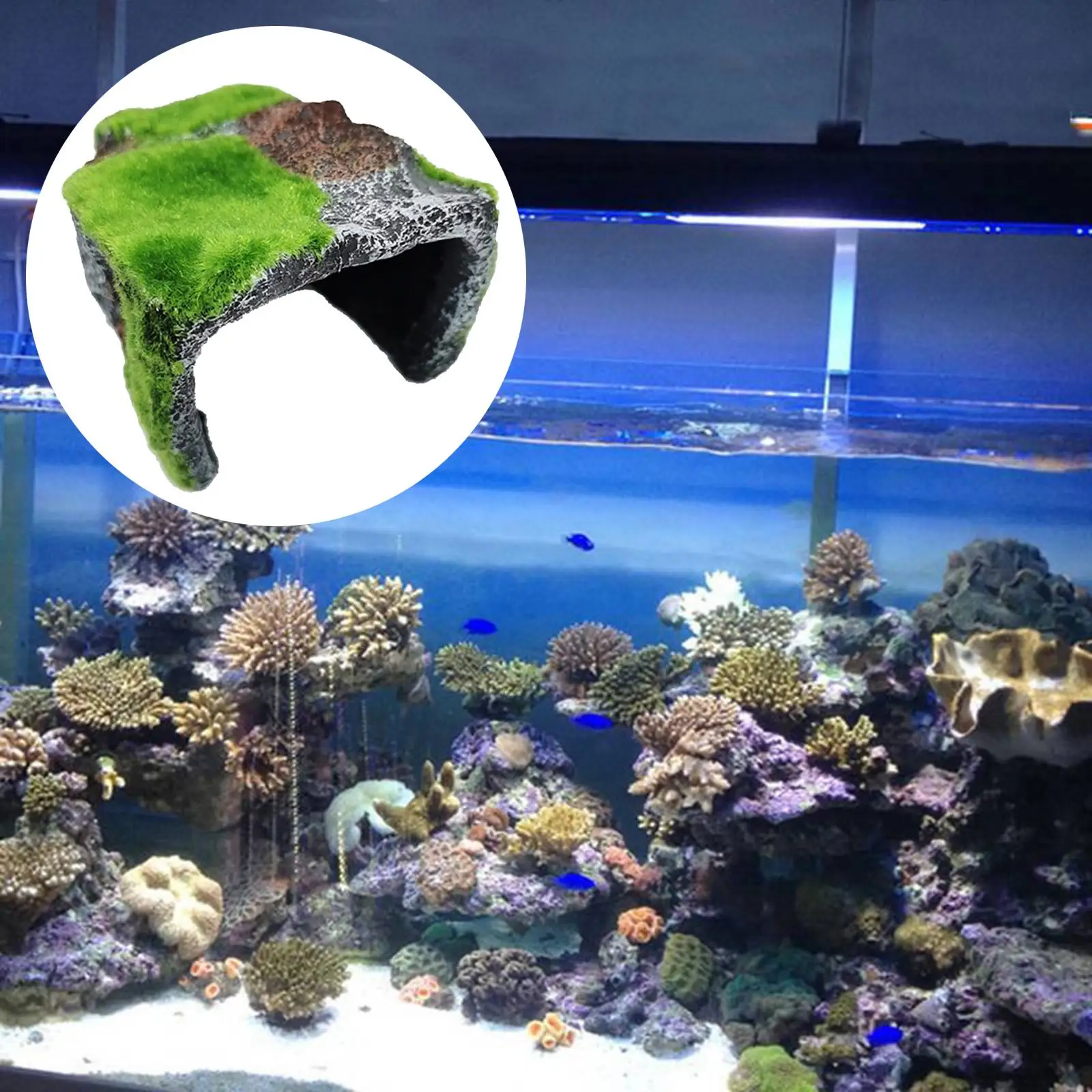Reptile Hiding Cave Snake Turtle Hide Cave Resin Material Fish Tank Aquarium Landscaping Decoration Pet Supplies