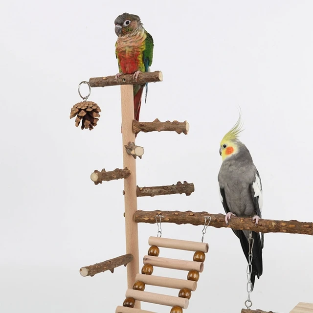 Parrot Playground Stand - Carrinho de jogo de madeira de papagaio | Suporte  de treinamento de papagaio com escada e playground de periquito para