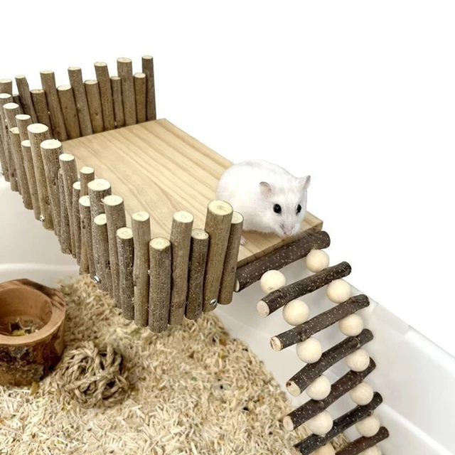 NUSITOU Escada De Escalada Para Hamster Brinquedos De Madeira Brinquedos  Para Periquito Brinquedos Para Mastigar Escada Para Hamster Anão Brinquedos  Para Mastigar Escada De Hamster