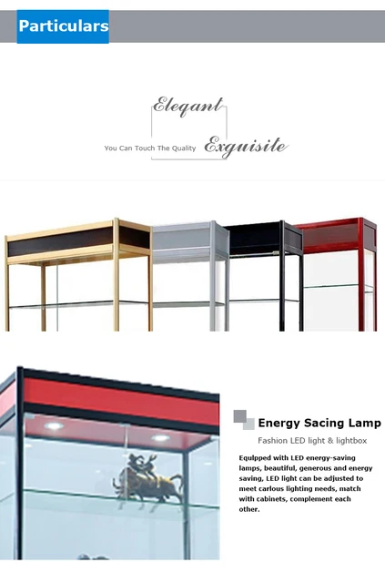 Custom Lingerie Shop Interior Design Decoration Bra Display Stand