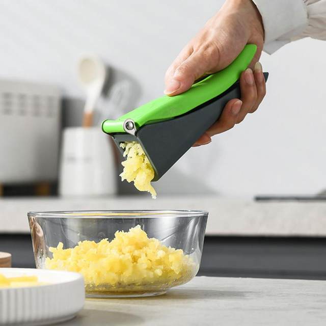 Stainless Steel Garlic Press Tool – SaveSail