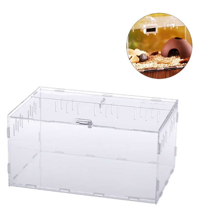 Title 8, Reptiles Feeding Box Anti-Escape Cases Acrylic ...