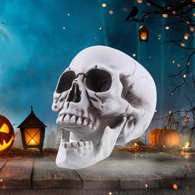 Human Skull With Ornament Realistic Life Size Skeleton Unique Halloween Figure 2024 Conctere Decorative Human Head