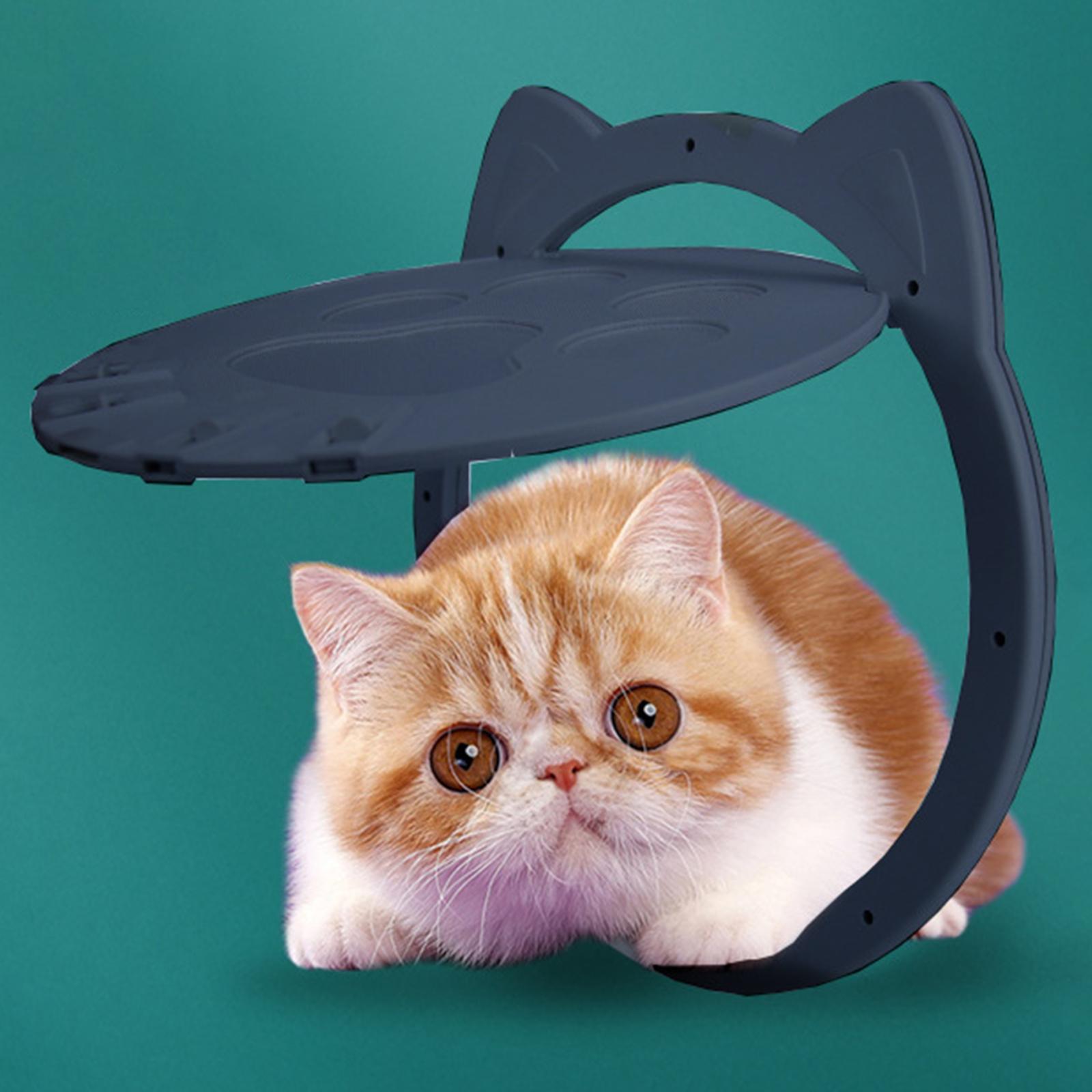 Cat Dog Flap Door with 4 Way Lock, Kitten Door Magnet, Indoor Outdoor Door, Window Pet Supplies