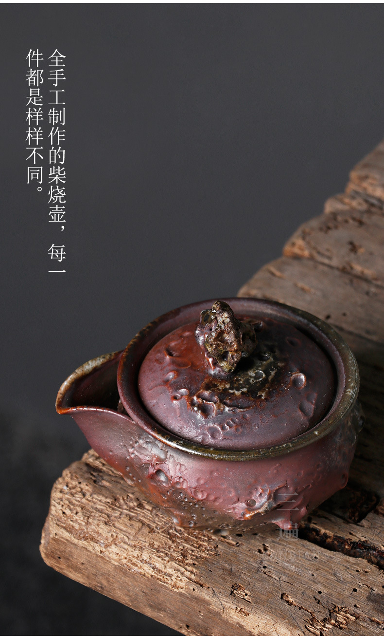 Taihu Lake Stone Aquarius Pot_05.jpg