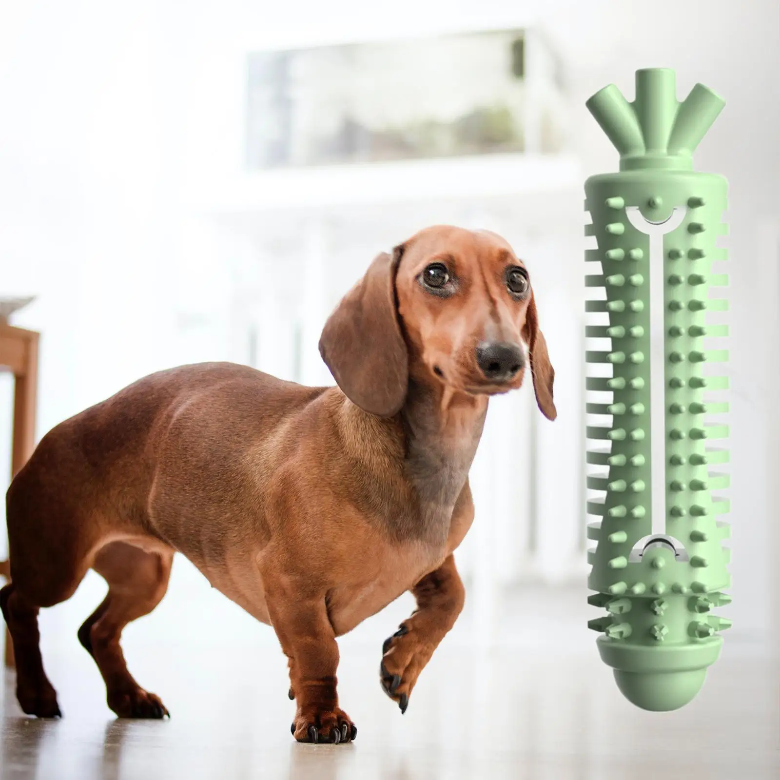 Dog Chew Toy Pet Interactive Toothbrush Travel Instinct Training Educational Toy Puppy Teething Toys for Small Medium Doggy