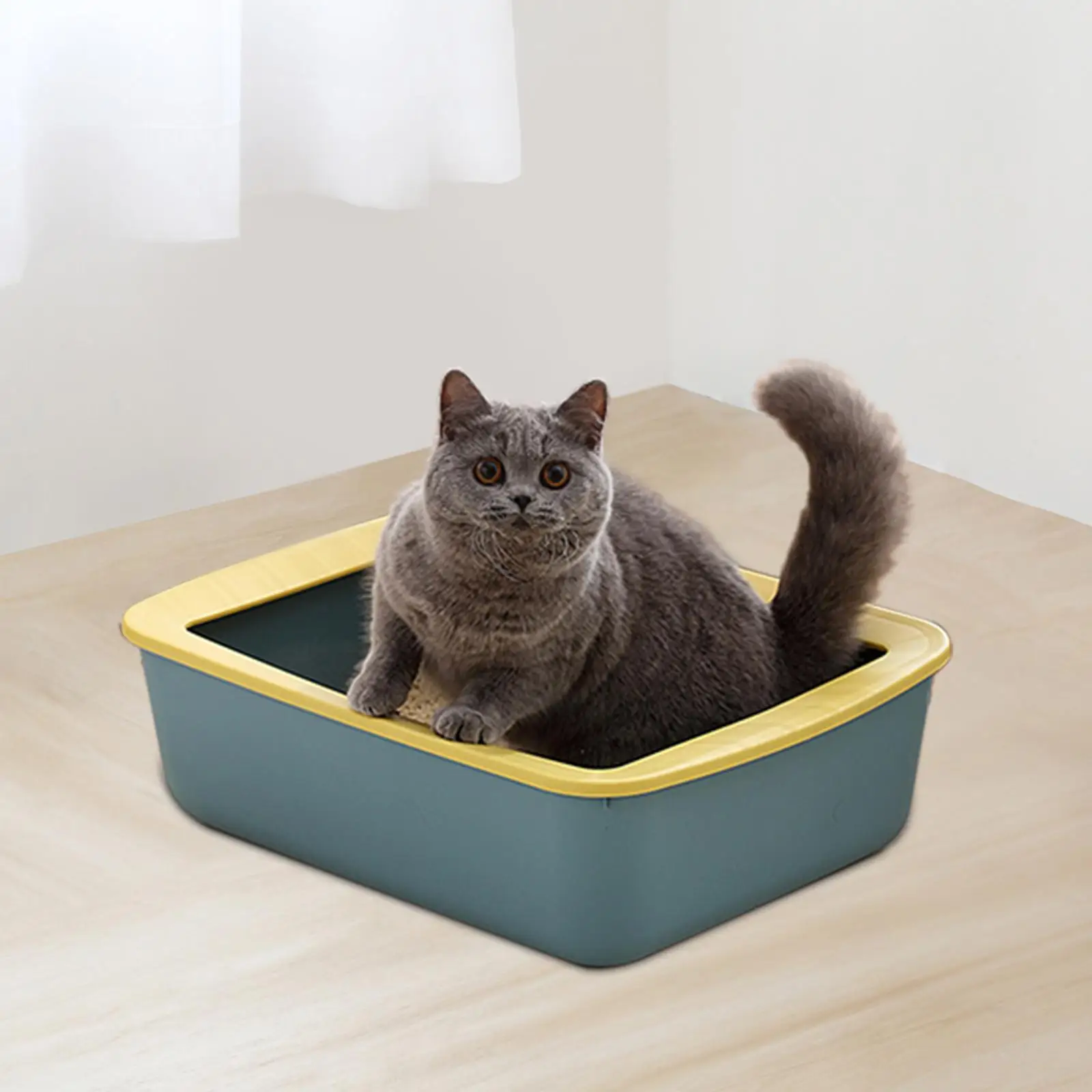 Cat Litter Box Indoor Cats Potty Toilet Deep Loo Easy to Clean Sand Box Pet Litter Tray for Small Cats Pet Supplies Kitten