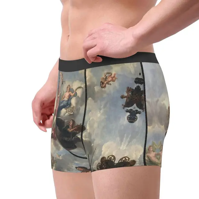 Aubusson Antique French 19th Century French Landscape Swan Underpants Homme  Panties Men's Underwear Comfortable Boxer Briefs - AliExpress