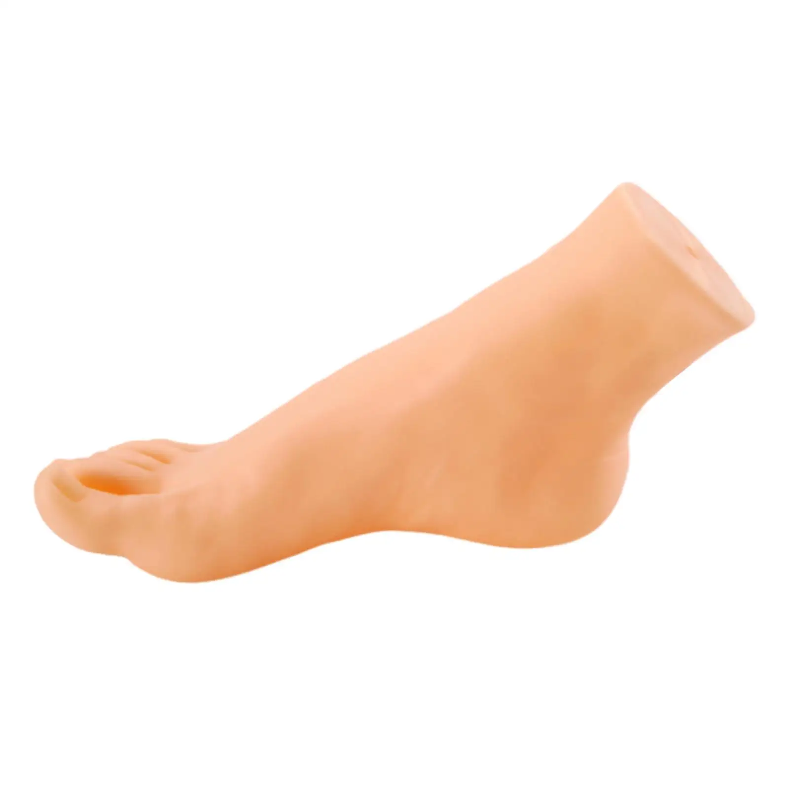 Mannequin Foot Display Lightweight Sock Display Prop Durable Foot Model Simulation for Shop Retail Jewelry Short Stocking