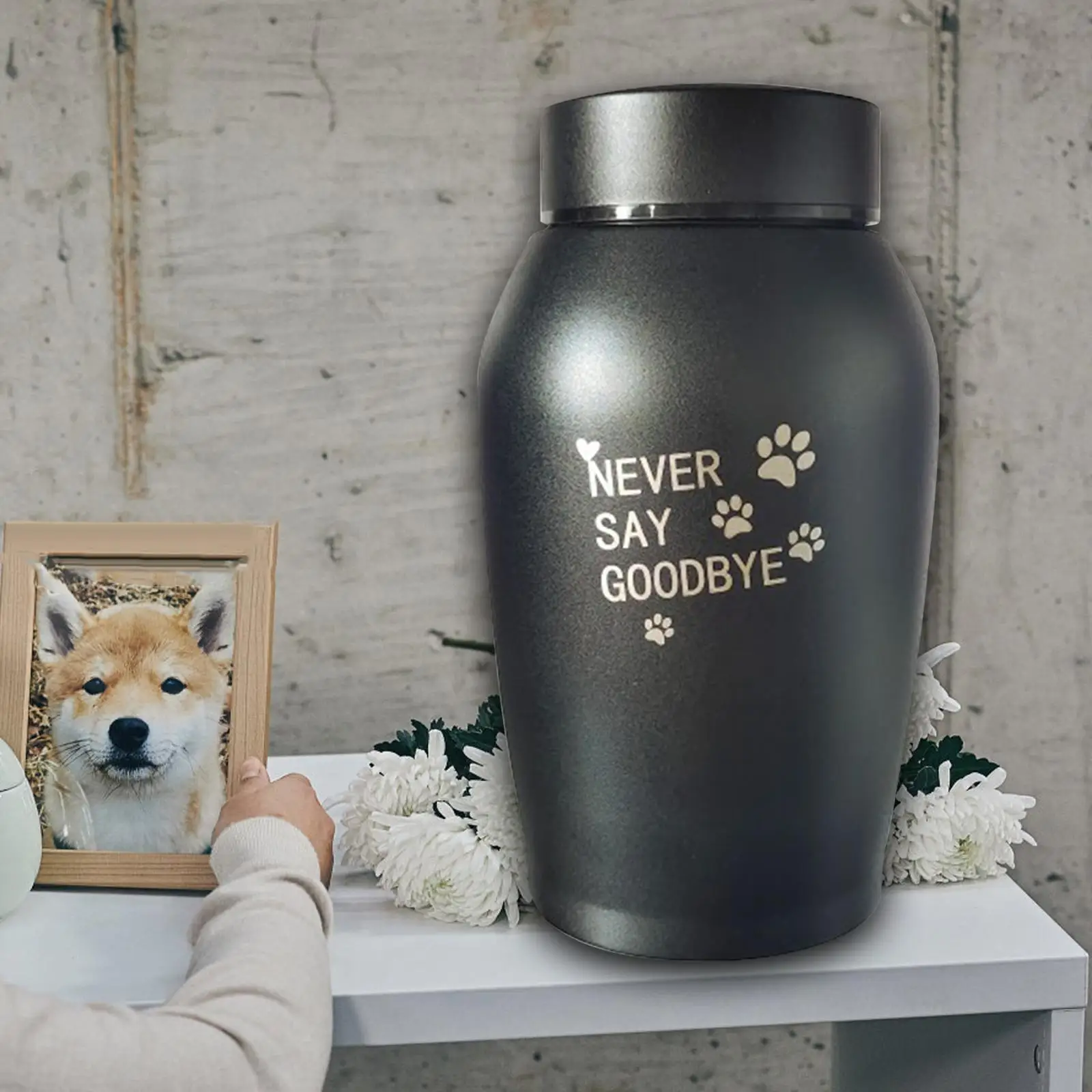 Pet Urn Urn Funeral Casket Puppy Kitten Stainless Steel Lightweight Storage Case