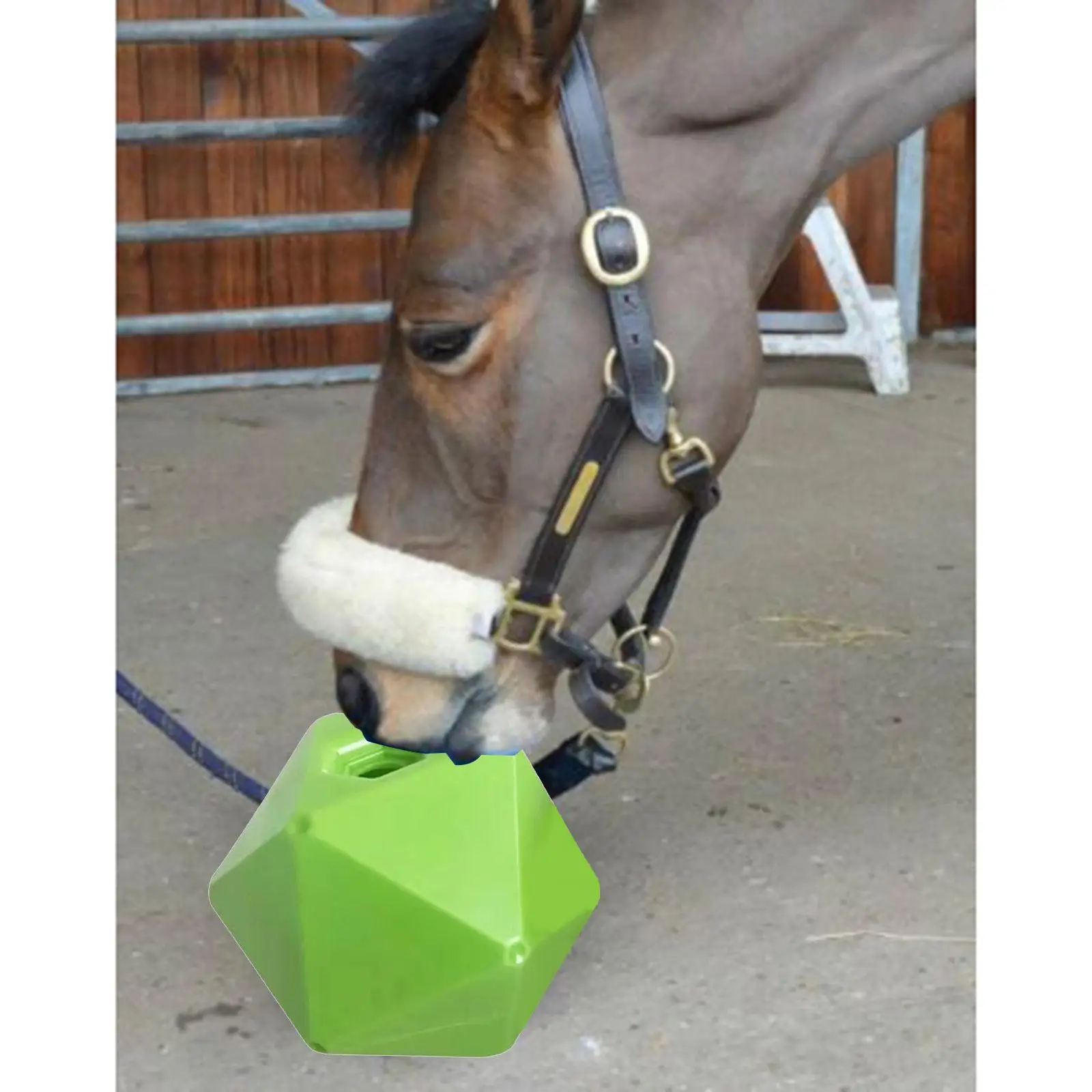 Horse Treat Ball Feeding Toys Stable Stall Feeder Snack Ball for Cow Equine