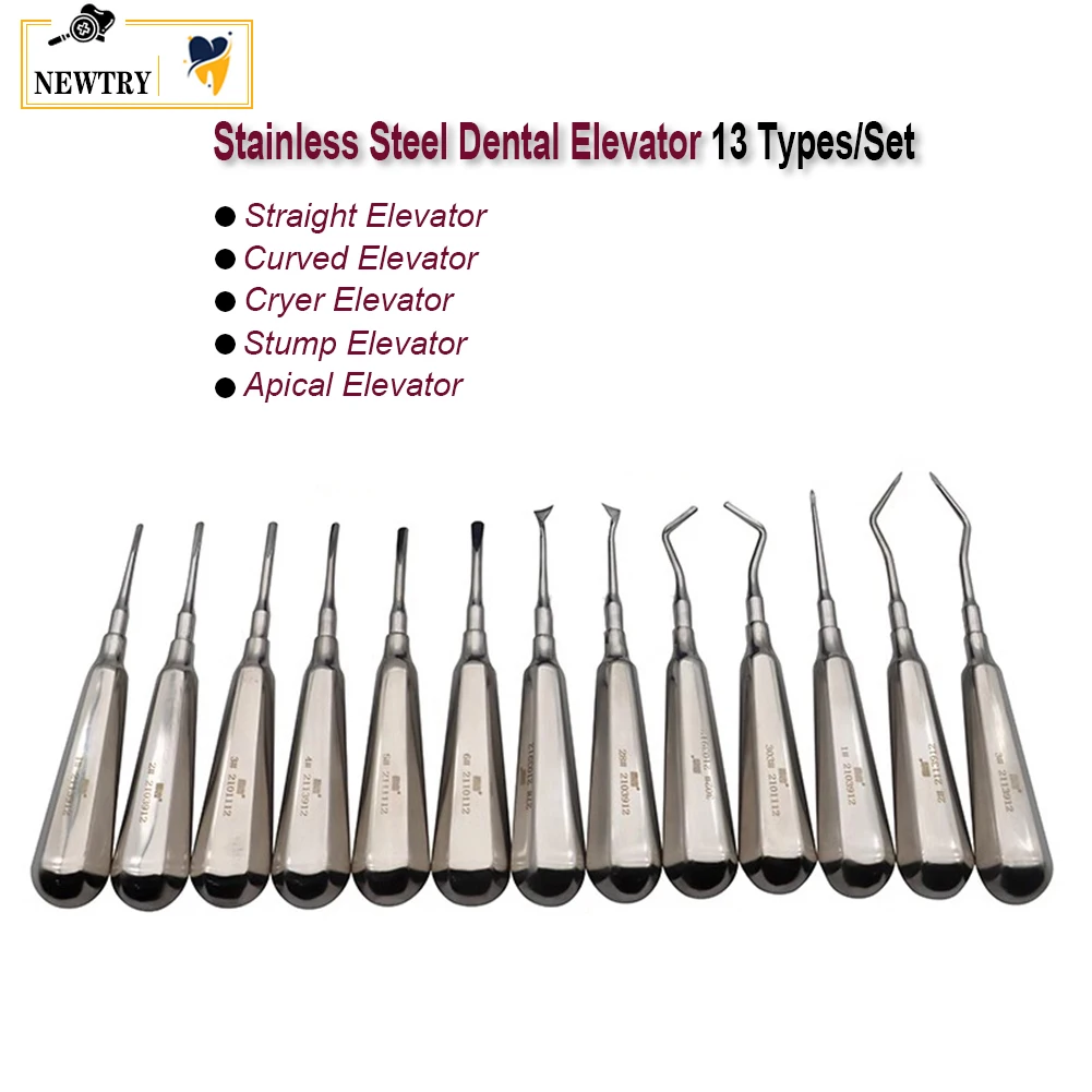 Best of Dental Elevator Tooth Extraction Forcep Straight Curved Cryer Apical Root Elevator Stainless Steel Crown Remover Spreader Drill Reviews & Tips