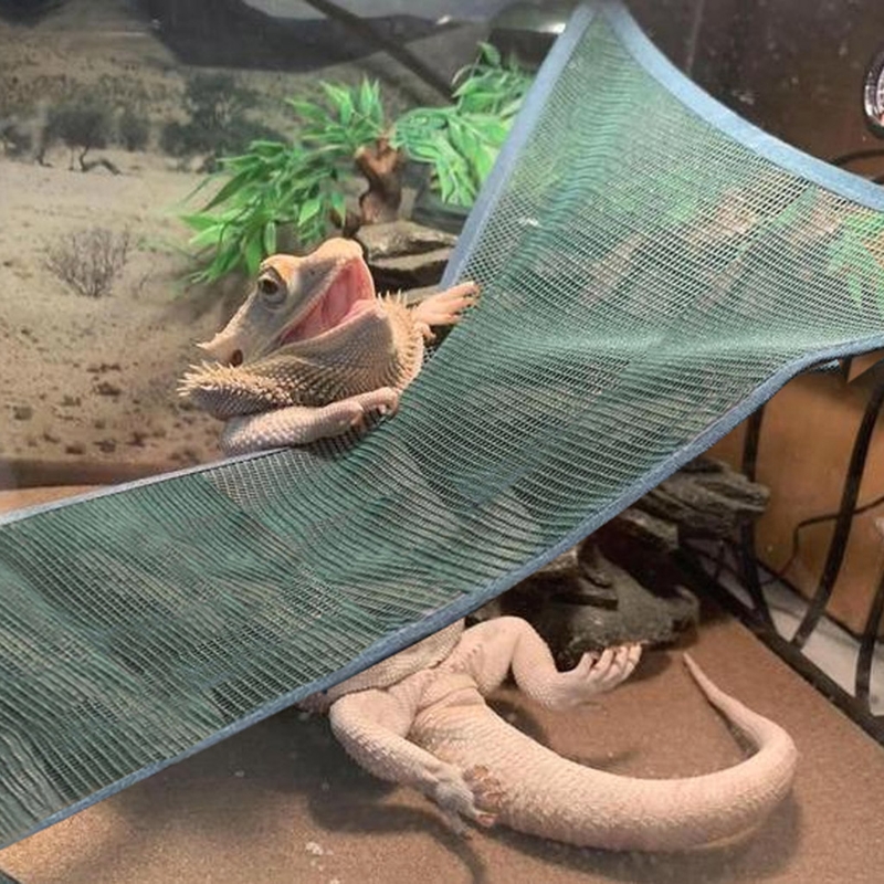 Title 9, Hammock for Reptiles Lounger Bridge for Iguanas...