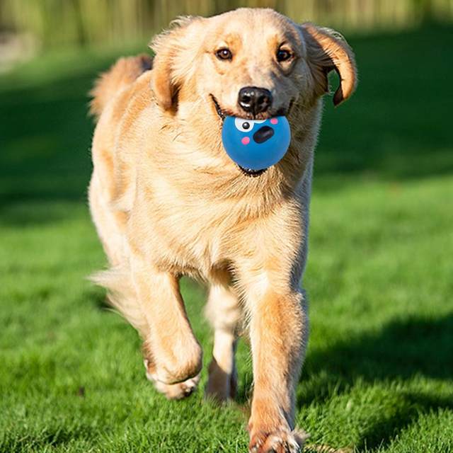  HAREDIG Pelota de juguetes para perros de 3.5 pulgadas, paquete  de 3 bolas de juguete chirriantes, pelotas para perros con pinchos, juguete  masticable para limpieza de dientes, juguetes interactivos para perros