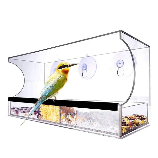 Wild shops beak automatic feeders