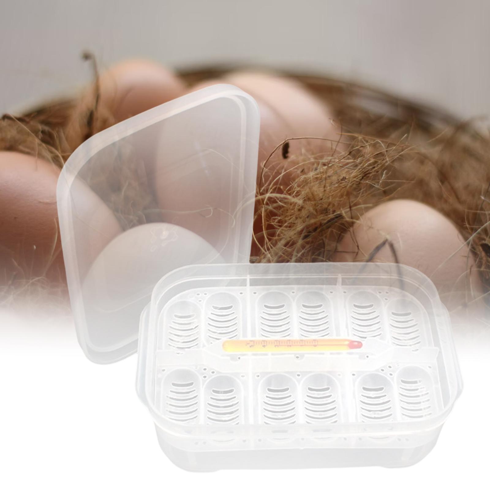 Reptile Incubator Tray Incubation Suspended Snake DIY Container 12 Egg Gecko