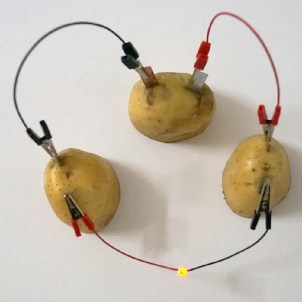 Eg _ Kf _ DIY Fruit Power Batterie Bio Energie Licht Diode Uhr Set Experiment 