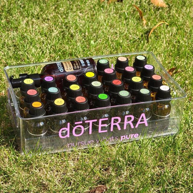 28 Slots Transparent Essential Oil Case for DoTERRA Portable
