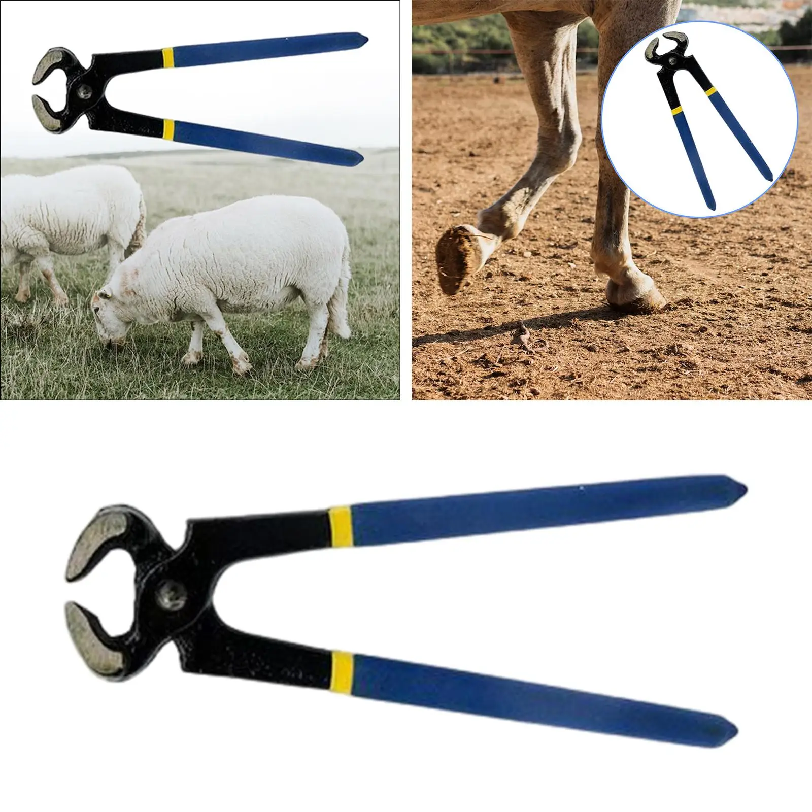 Horse Hoof Trimmer Horse Farrier Tool Metal Structure Goat Hoof Trimming Shear Hoof Nippers for Goats Sheep Cattle